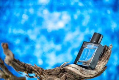 Perfumería Masculina