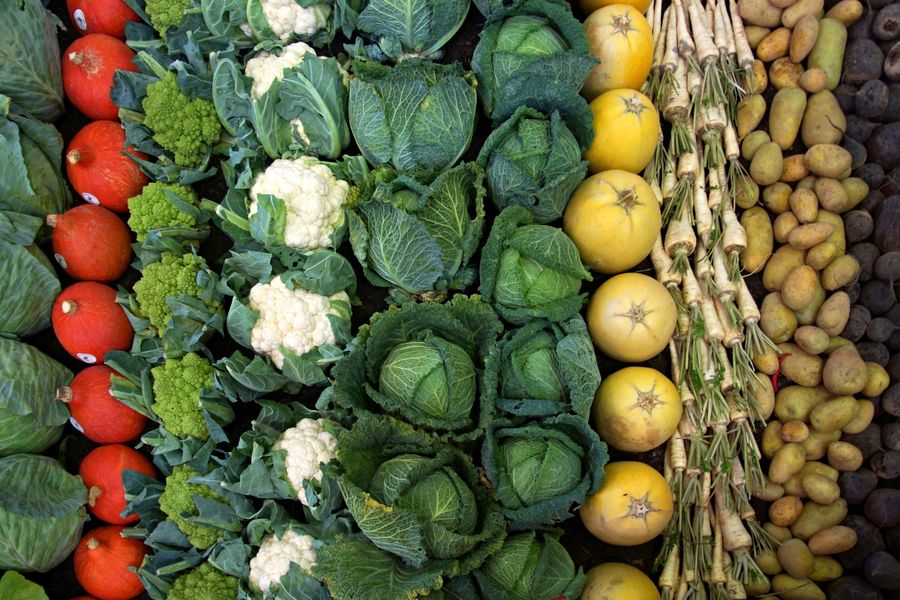 verduras frescas ricas glutamina 2 1 Verduras frescas ricas en glutamina